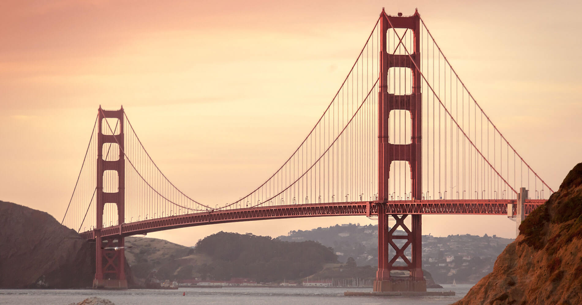 MarketsPulse founder and CEO Rachely Esman founds new high tech startup Wescover in San Francisco California