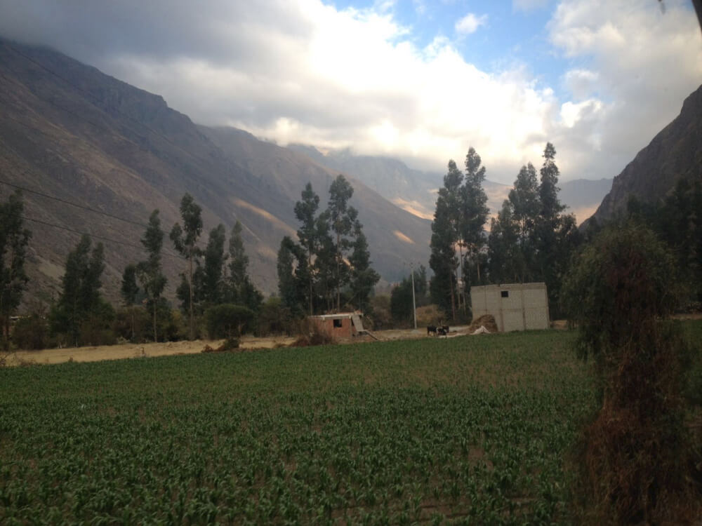 Inca Rail View