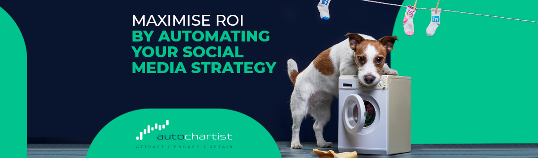 Maximise ROI by Automating Your Social Media Strategy –