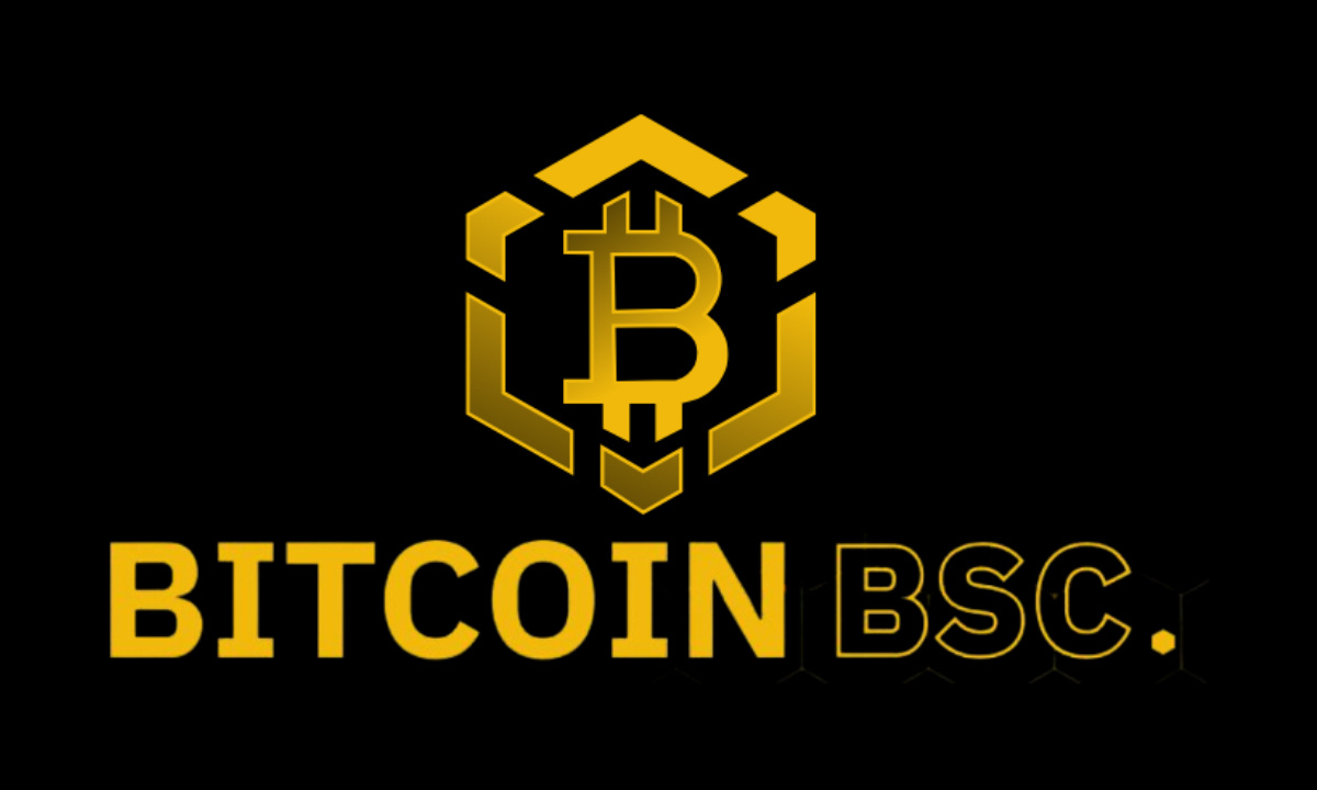 Bitcoin BSC Crypto ICO Reaches 50% Of Soft Cap After Raising Almost $2 Million in 10 Days