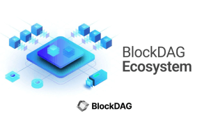 BlockDag ecosystem with blocks