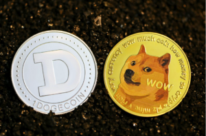 two dogecoins on the ground