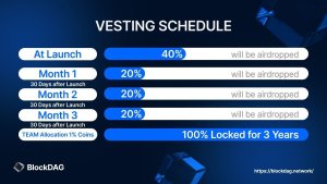 Vesting Schedule