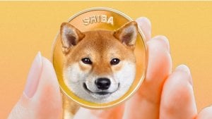 shiba inu holding coin