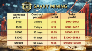 savvy mining