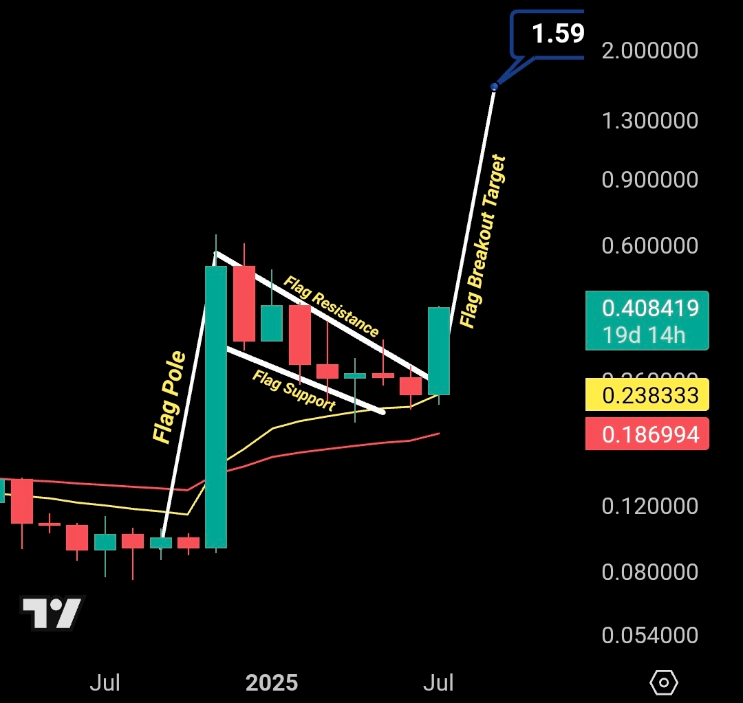 xlm to reach over $1 this summer
