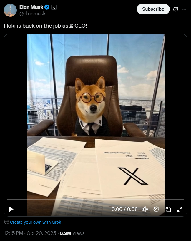 how much did floki surge?