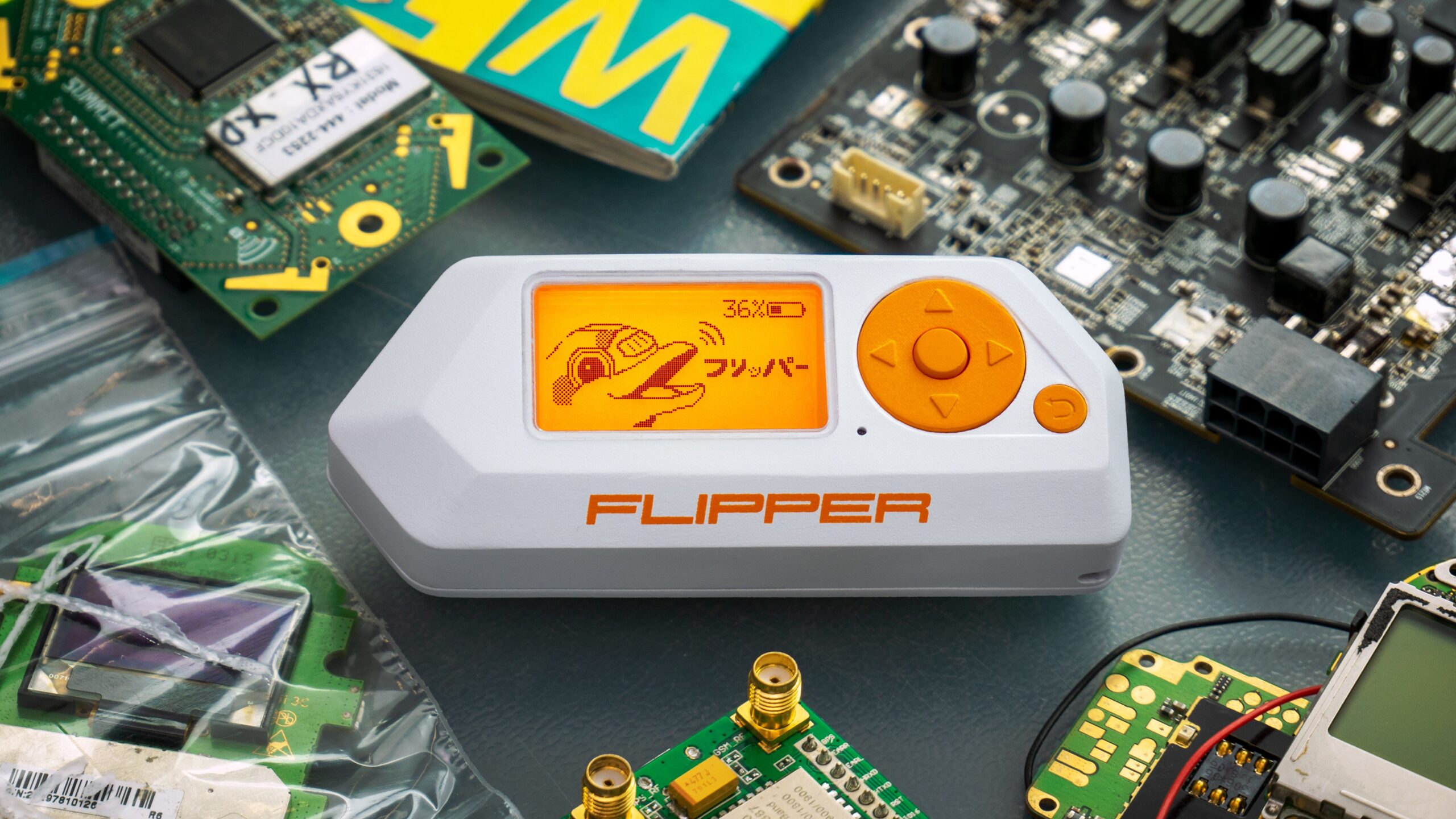 Flipper Zero & Crypto Security: What You Should Know