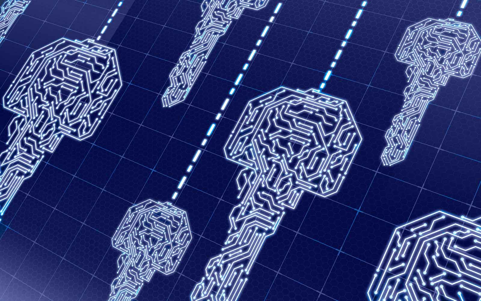Symmetric vs Asymmetric Cryptography: Key Differences Explained