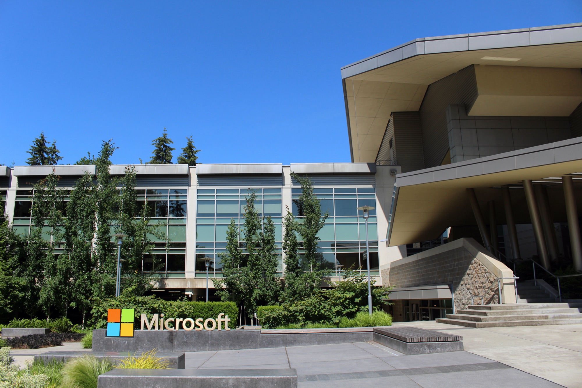Microsoft Layoffs: 3-5% Expected to Take Buyout