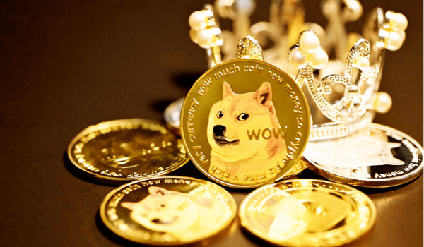 Shiba Inu coin