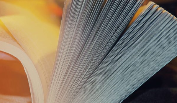 photo 1455651264681 40d634a35ce4 e1465357078359