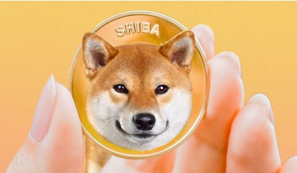 shiba inu coin